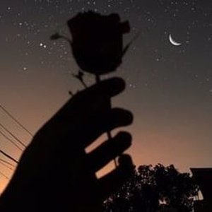 别告诉妈妈下载安装APP
